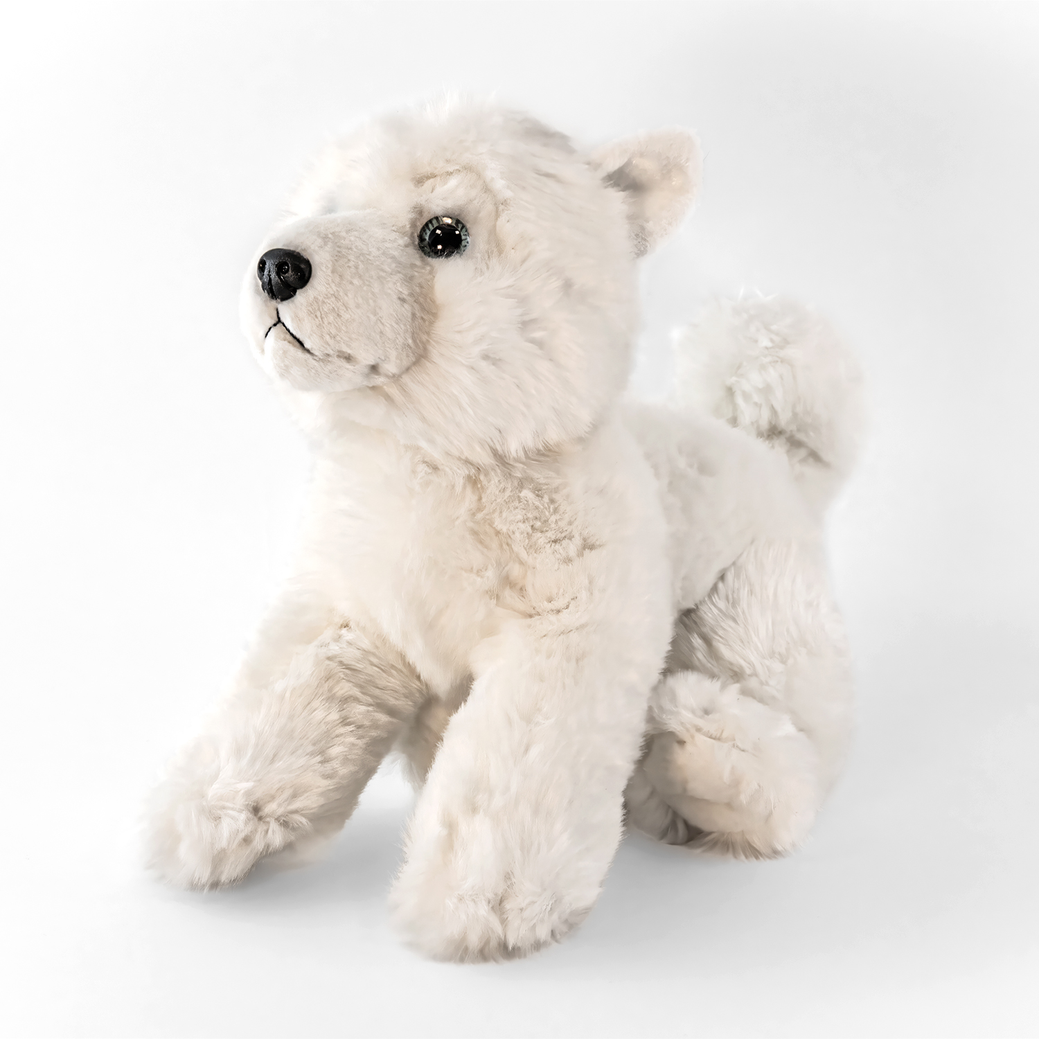 White Plush Dog-CCC