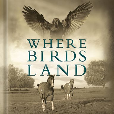 Where Birds Land <br> Pre-Order will ship on October 2nd.